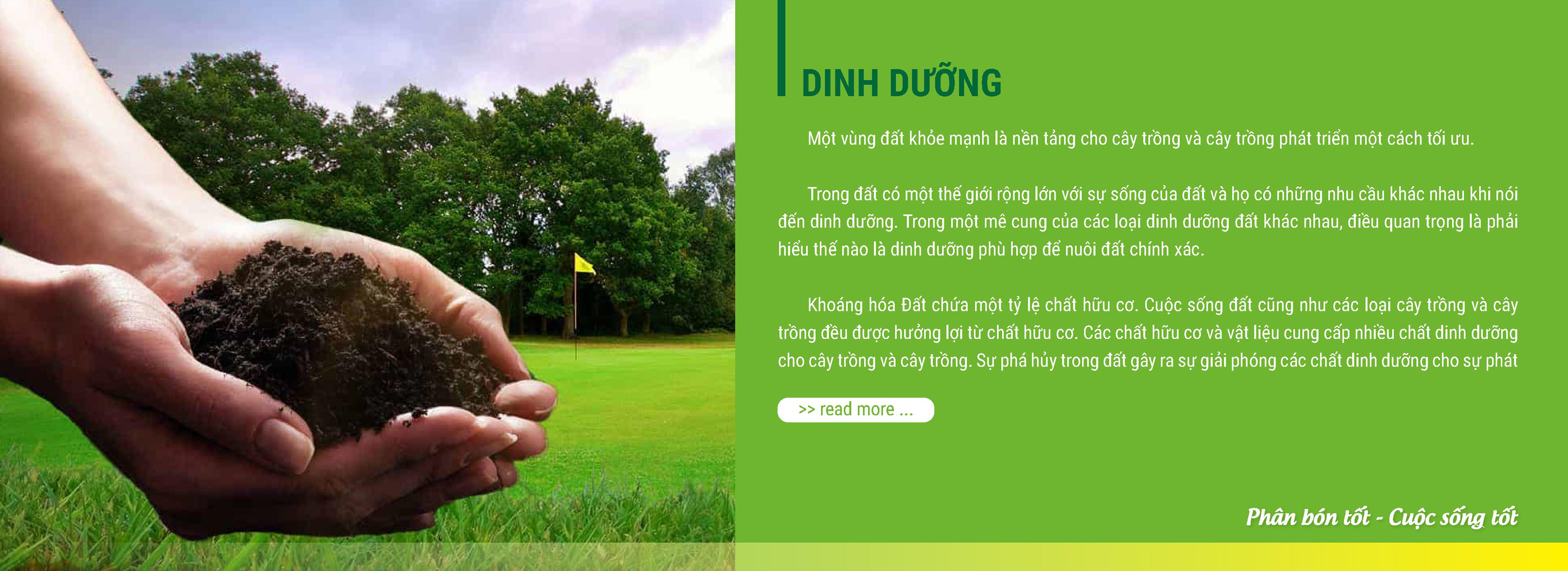 Dinh dưỡng