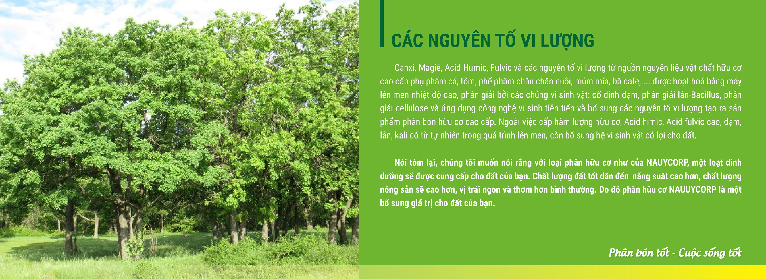 Các nguyên tố vi lượng