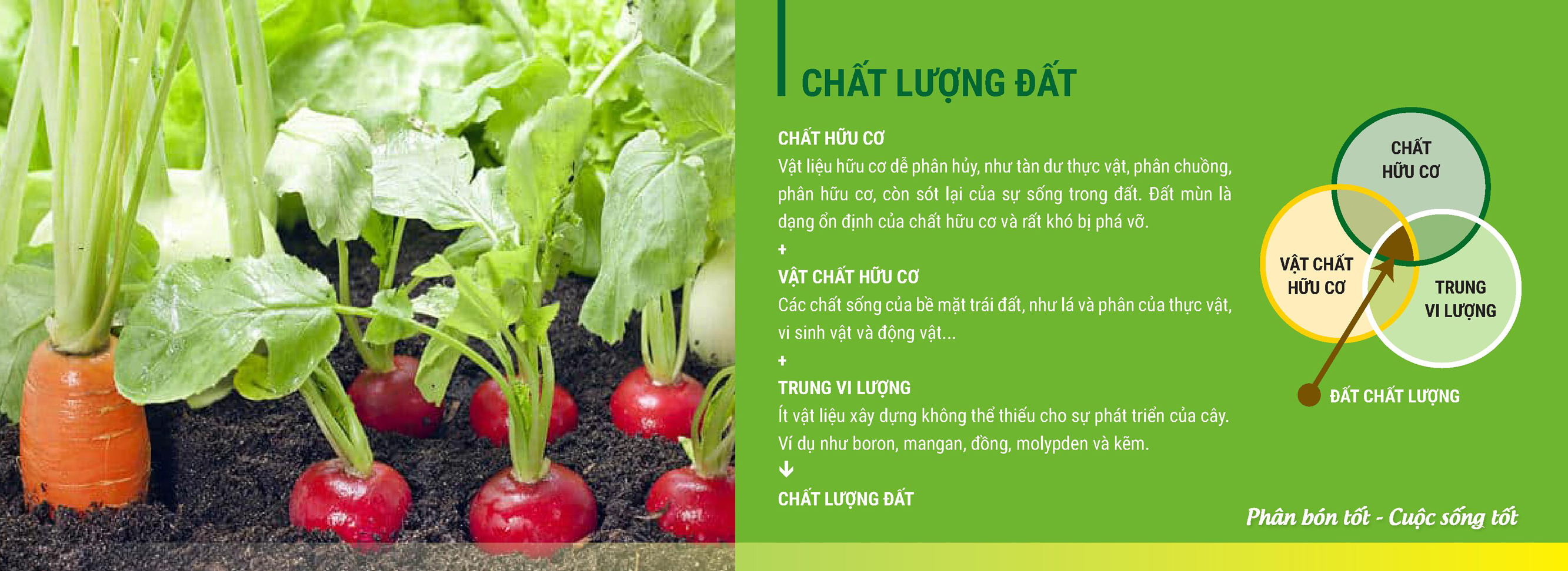 Chất lượng đất