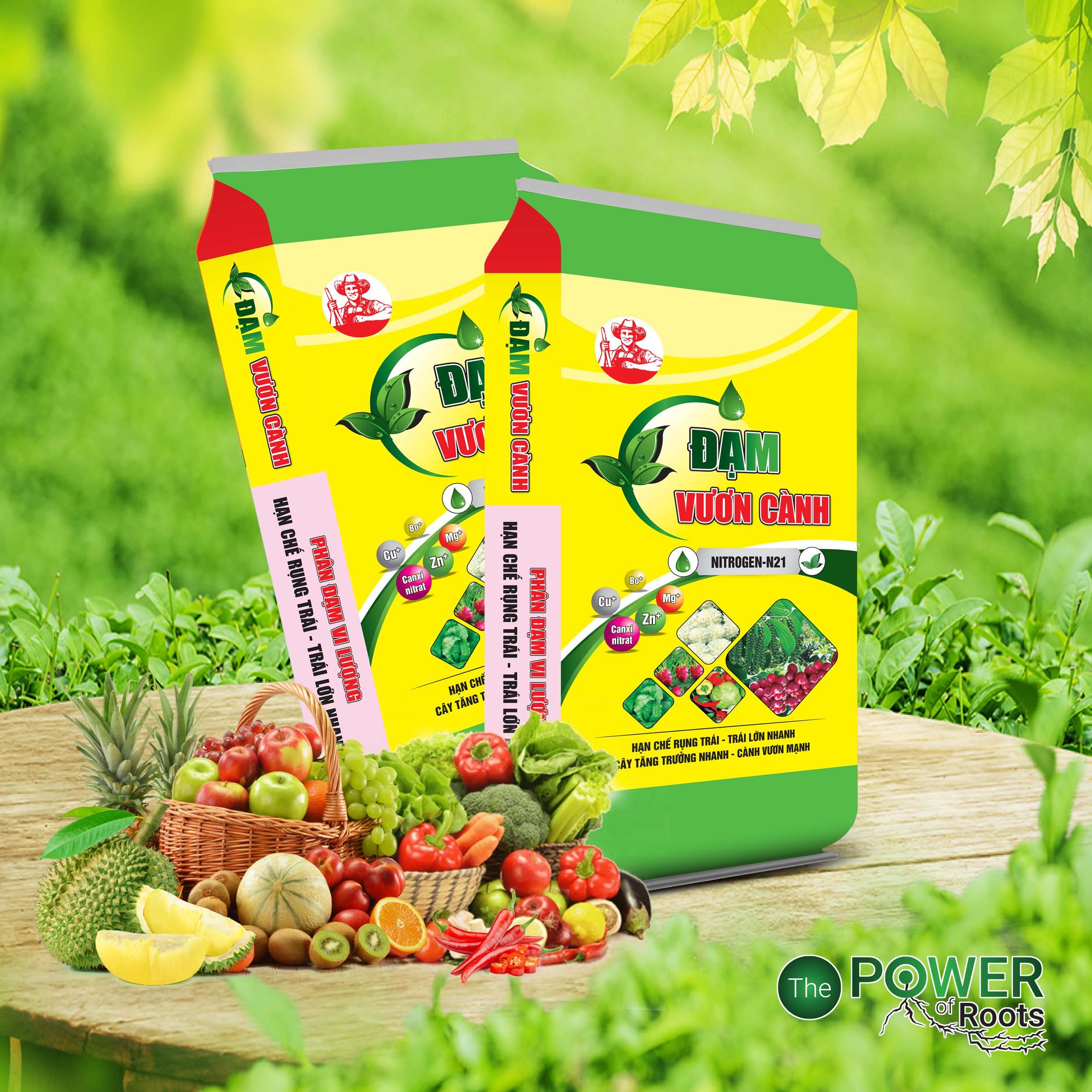 PHÂN ĐẠM VƯƠN CÀNH THUỴ SỸ