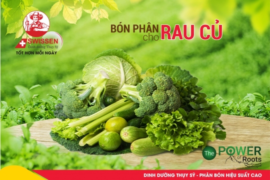 Trồng rau sạch tại nhà với các sản phẩm sinh học