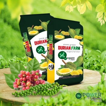 PHÂN BÓN HỮU CƠ NỞ DURIAN FARM THUỴ SỸ