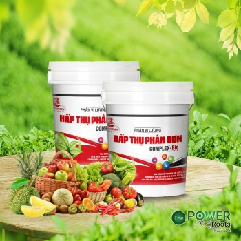 PHÂN BÓN VI LƯỢNG HẤP THỤ PHÂN ĐƠN 