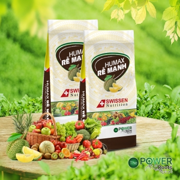 PHÂN BÓN VI LƯỢNG RỄ MẠNH 1KG