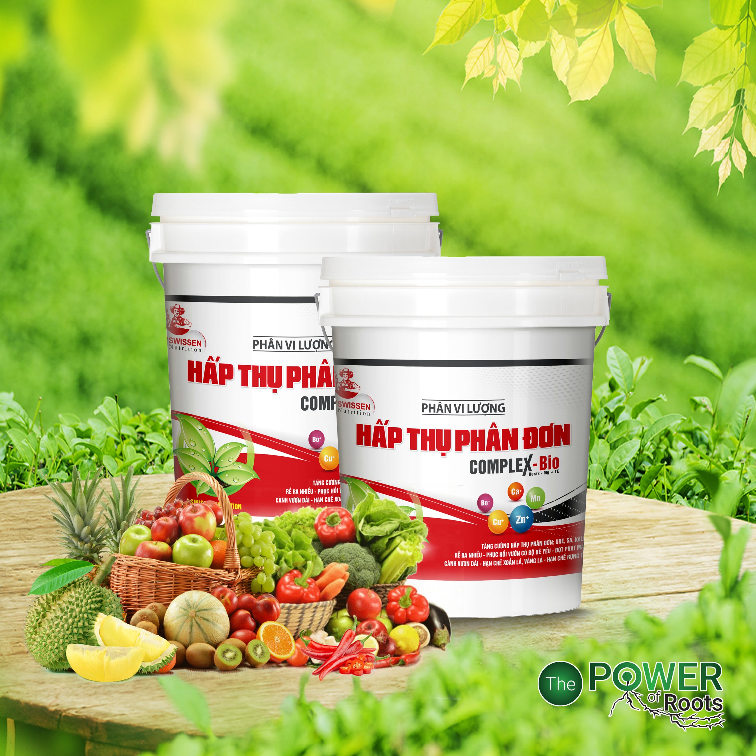 PHÂN BÓN VI LƯỢNG HẤP THỤ PHÂN ĐƠN 
