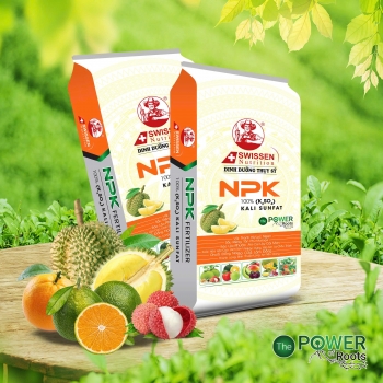 PHÂN BÓN NPK THUỴ SỸ 12-12-17+TE