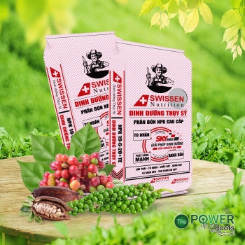 PHÂN BÓN NPK THUỴ SỸ 19-6-20+TE