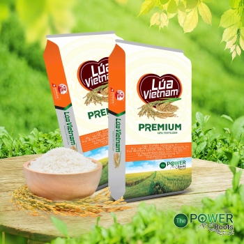 PHÂN BÓN NPK THUỴ SỸ LÚA VIỆT NAM LÚA 3 - TRỔ BÔNG ĐỒNG LOẠT