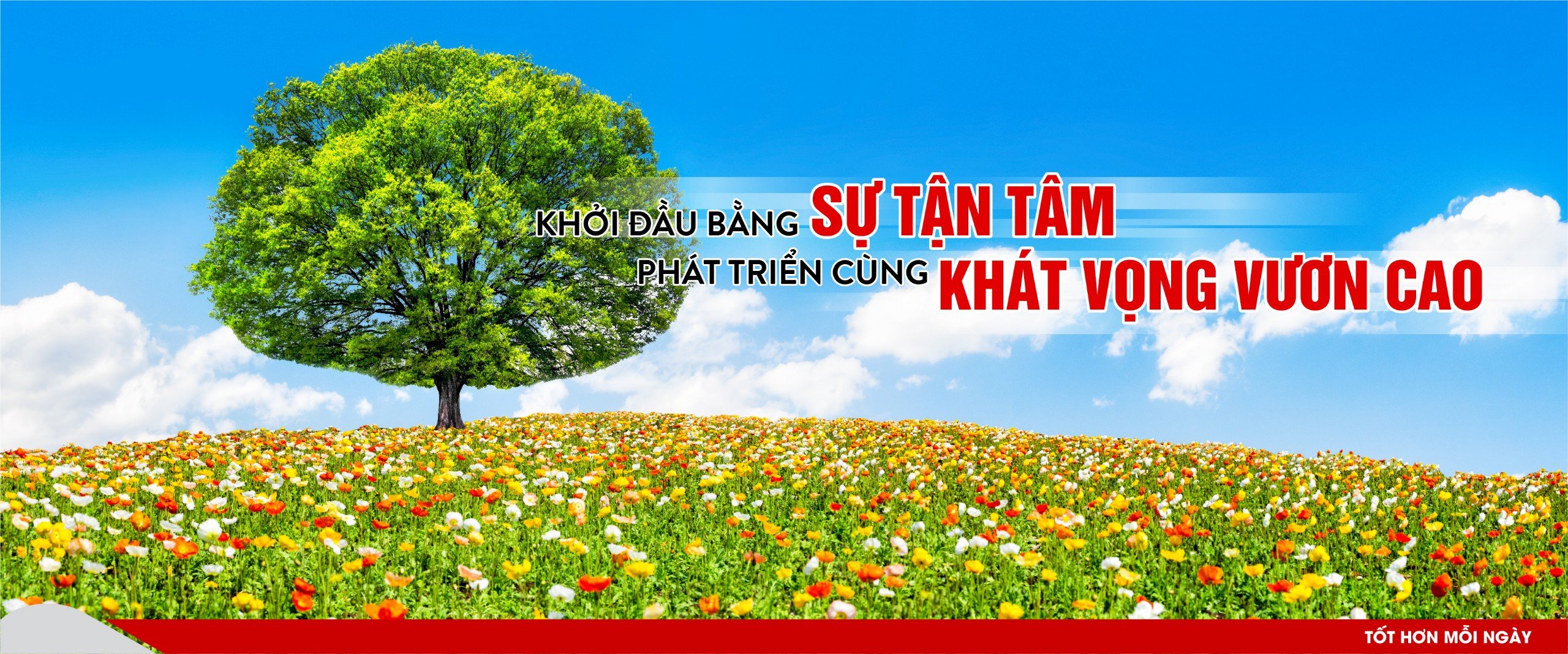 Slide trang chủ 2